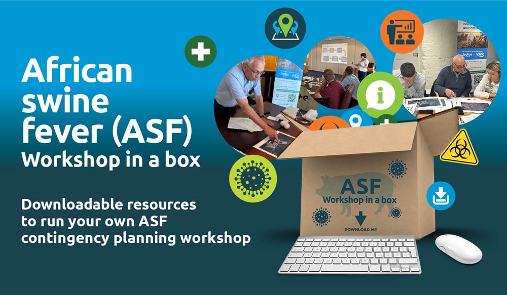  Graphic promoting ASF workshop in a box, images and icons coming out of a brown box.
